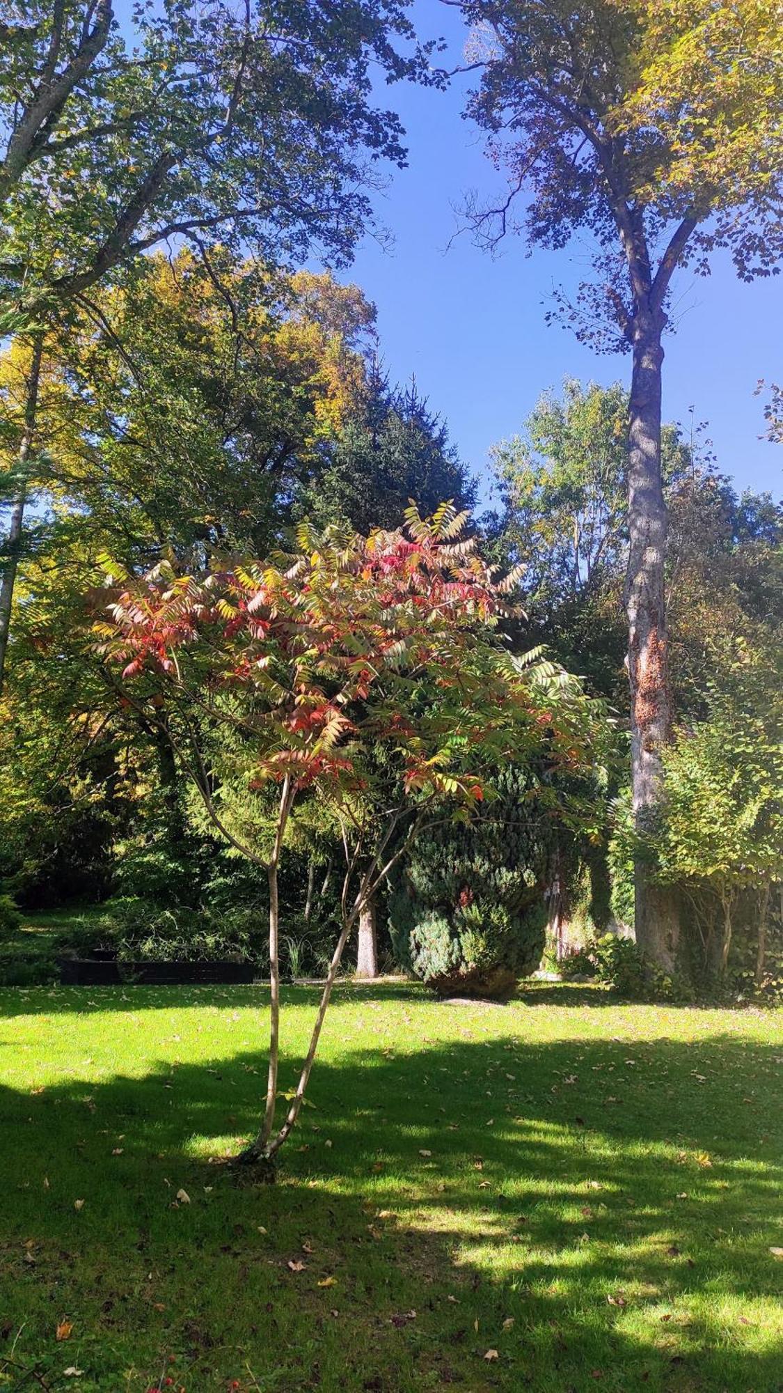 Pavillon C.R Bed and Breakfast Isles-sur-Suippe Εξωτερικό φωτογραφία